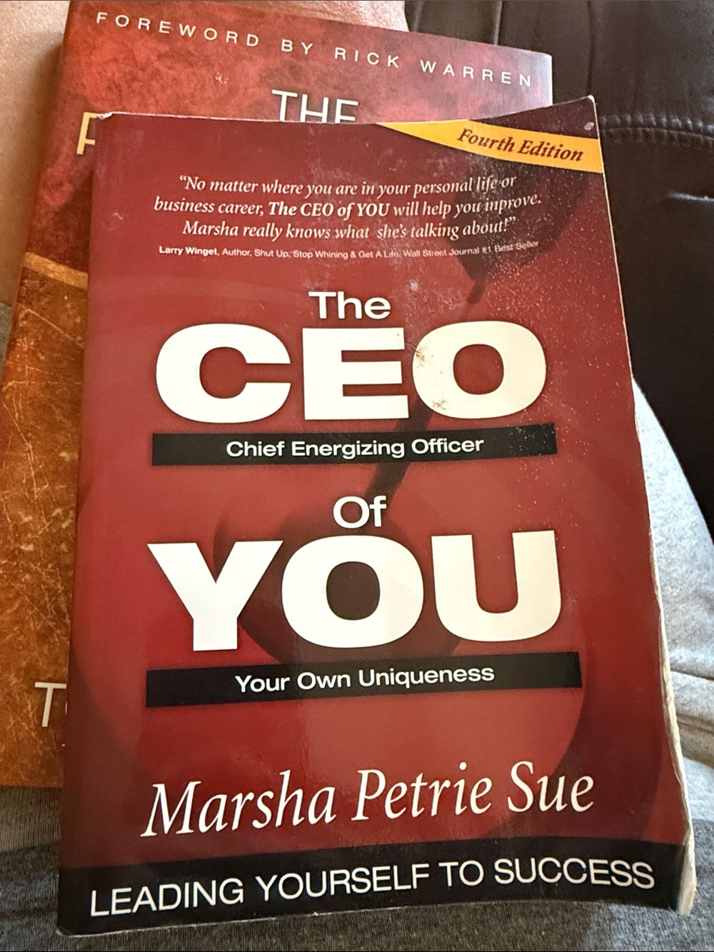 The CEO of You – Red Self-Development Book